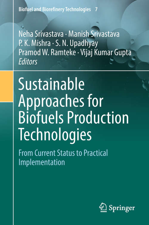 Sustainable Approaches for Biofuels Production Technologies: From Current Status to Practical Implementation (Biofuel and Biorefinery Technologies #7)