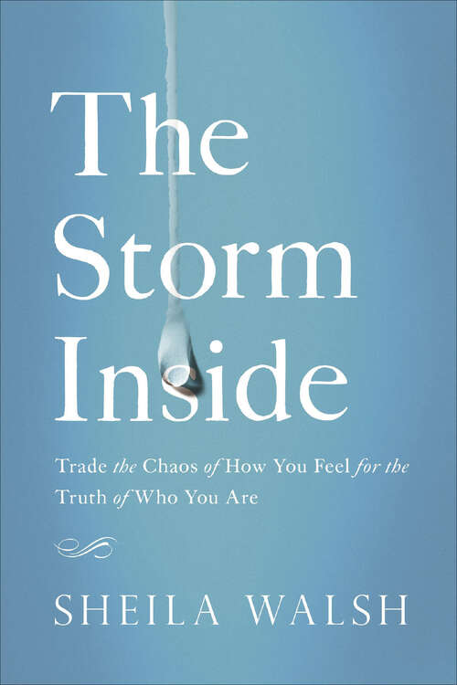 Book cover of The Storm Inside