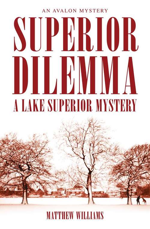 Superior Dilemma (Lake Superior Mystery #3)
