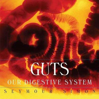 Book cover of Guts: Our Digestive System