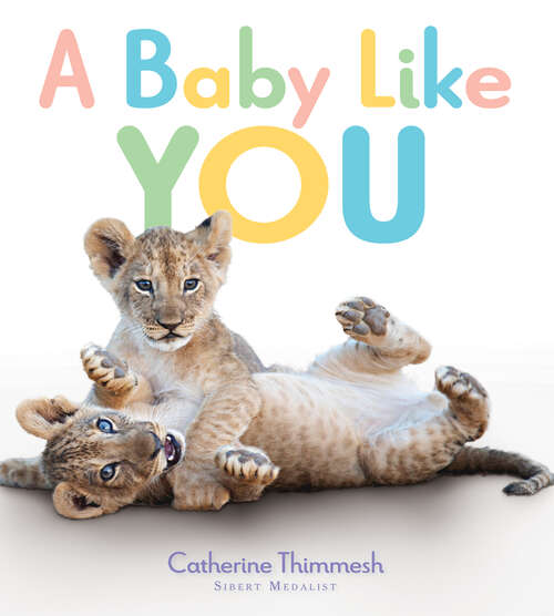 Book cover of A Baby Like You