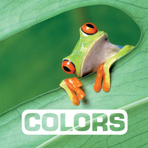 Book cover of Colors (Picture This)