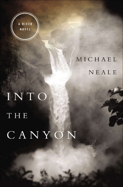 Book cover of Into the Canyon: A River Novel (The River Novels)