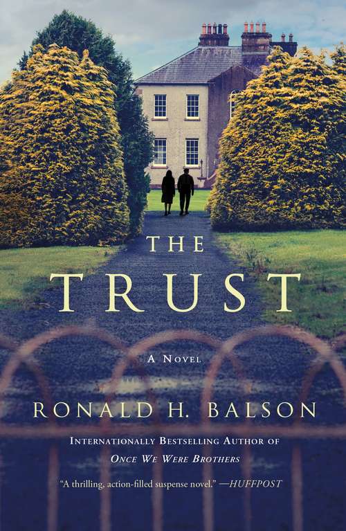 Book cover of The Trust: A Novel