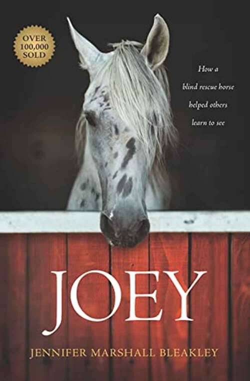 Book cover of Joey: How a Blind Rescue Horse Helped Others Learn to See