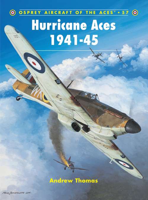 Book cover of Hurricane Aces 1941-45