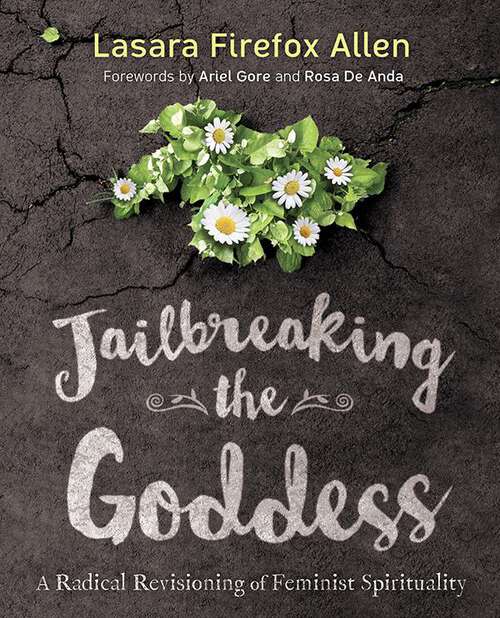 Book cover of Jailbreaking the Goddess: A Radical Revisioning of Feminist Spirituality