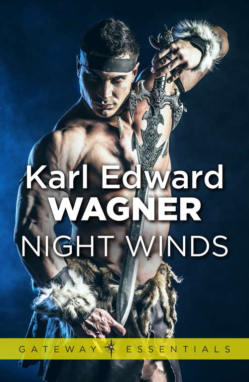 Book cover of Night Winds