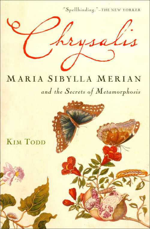 Book cover of Chrysalis: Maria Sibylla Merian and the Secrets of Metamorphosis