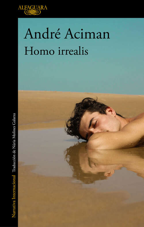 Book cover of Homo Irrealis