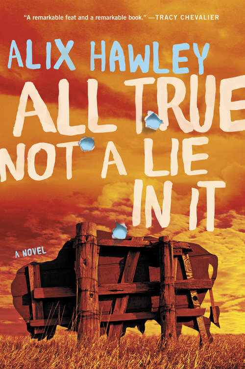 Book cover of All True Not a Lie in It: A Novel