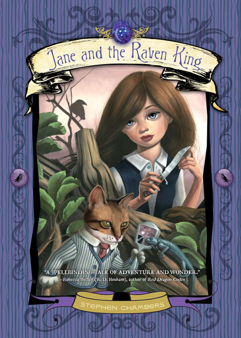 Book cover of Jane and the Raven King