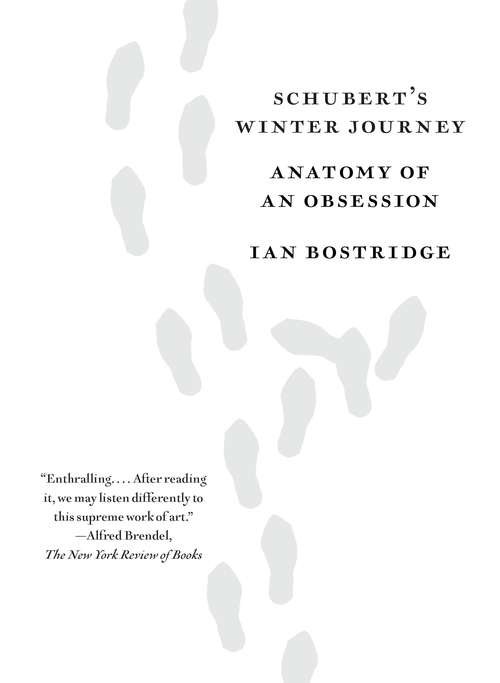 Book cover of Schubert's Winter Journey