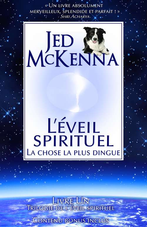 Book cover of L'éveil spirituel : La chose la plus dingue