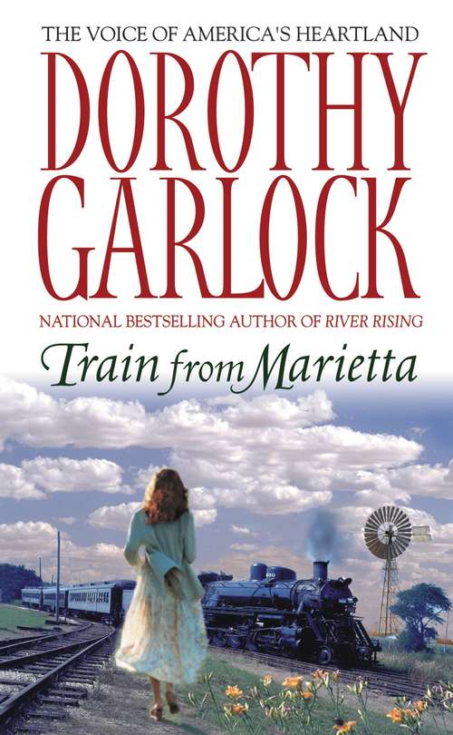 Book cover of Train from Marietta