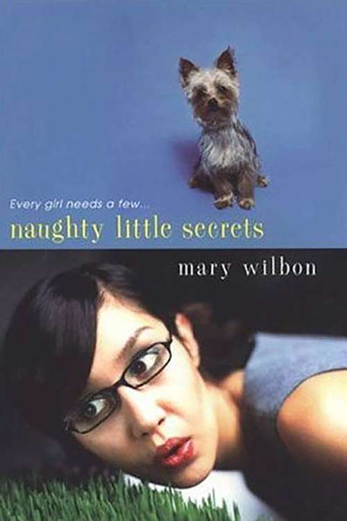 Book cover of Naughty Little Secrets