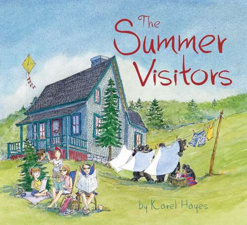Book cover of The Summer Visitors