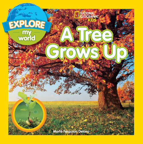 Book cover of Explore My World A Tree Grows Up (Explore My World)