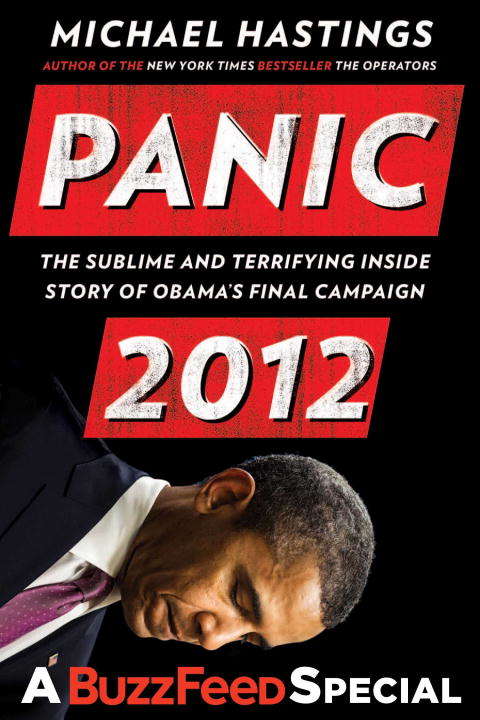 Book cover of Panic 2012