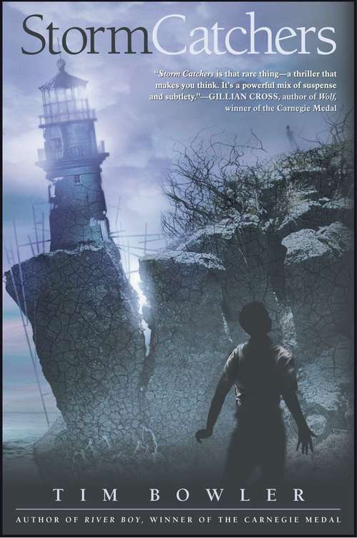 Book cover of Storm Catchers