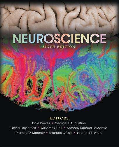 Neuroscience (Sixth Edition)