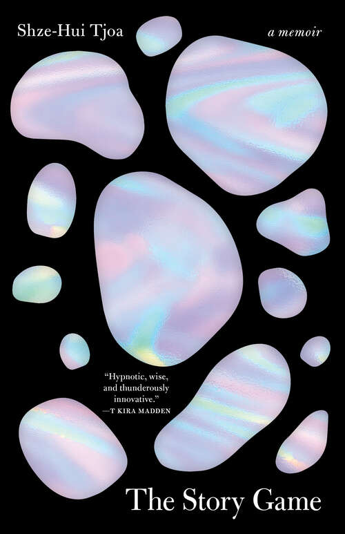 Book cover of The Story Game