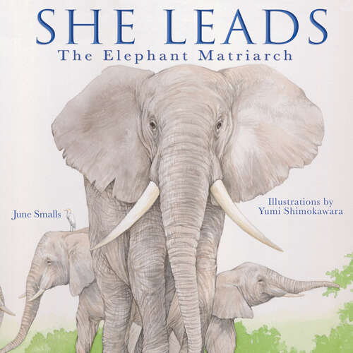 Book cover of She Leads: The Elephant Matriarch