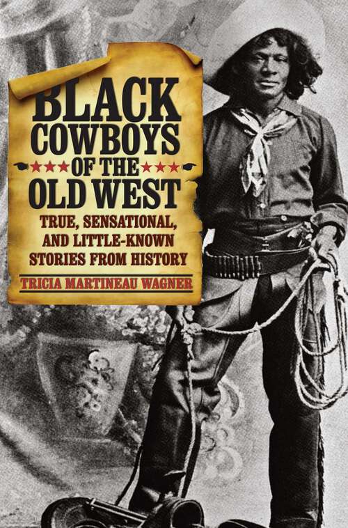 Book cover of Black Cowboys of the Old West: True, Sensational, and Little-Known Stories from History (1st Edition)