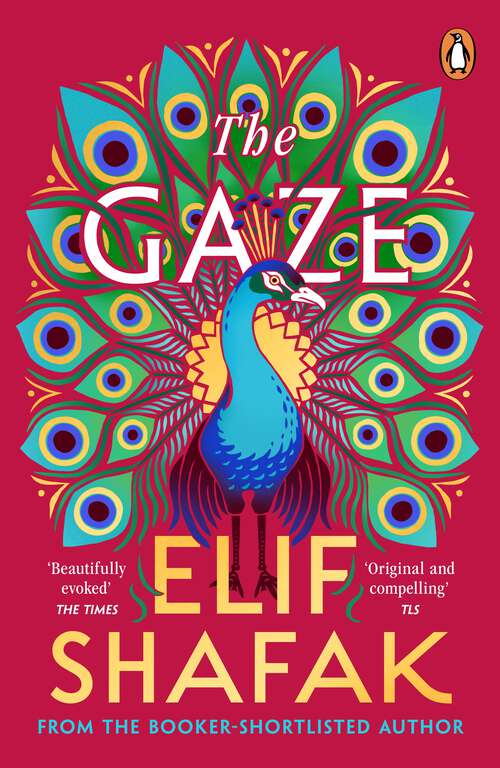 Book cover of The Gaze: The daringly funny historical novel from the bestselling author of There Are Rivers in the Sky