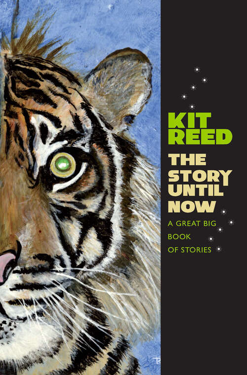 Book cover of The Story Until Now: A Great Big Book of Stories