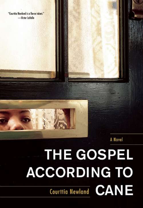Book cover of The Gospel According to Cane