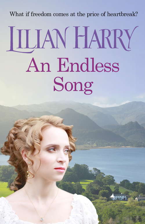 Book cover of An Endless Song