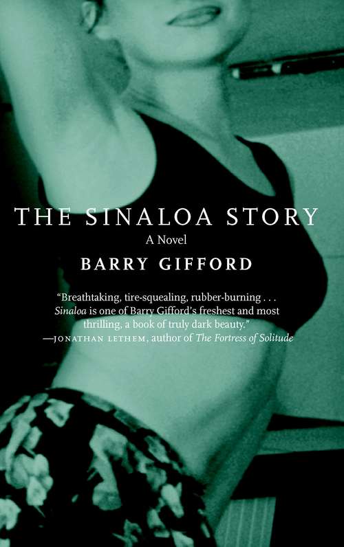 The Sinaloa Story: A Novel