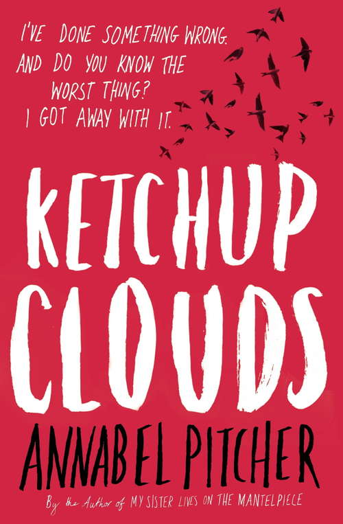 Book cover of Ketchup Clouds