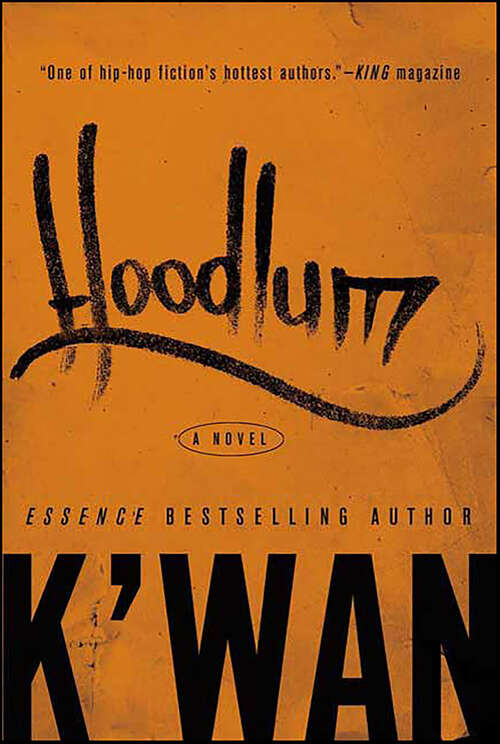 Book cover of Hoodlum: A Novel