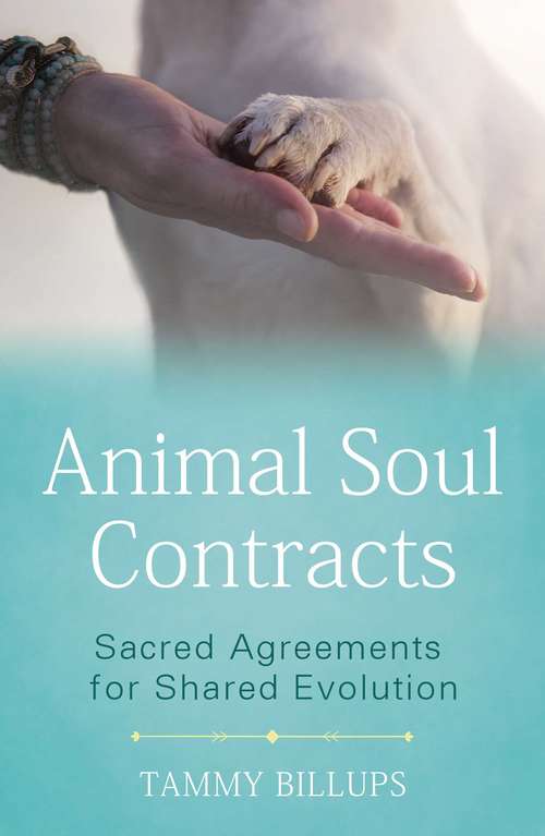Book cover of Animal Soul Contracts: Sacred Agreements for Shared Evolution