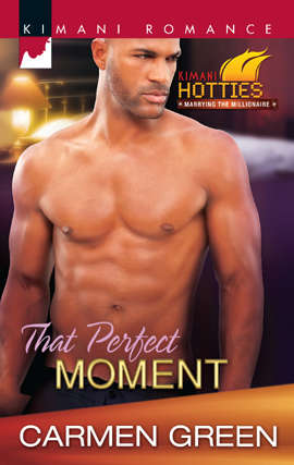 Book cover of That Perfect Moment