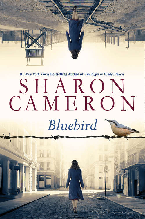 Book cover of Bluebird