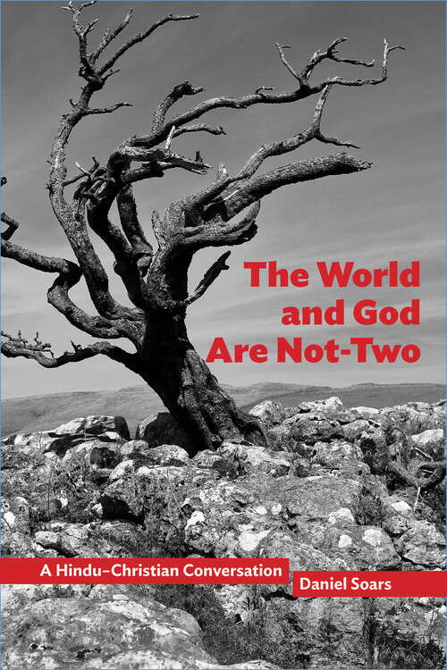 Book cover of The World and God Are Not-Two: A Hindu–Christian Conversation (1) (Comparative Theology: Thinking Across Traditions #10)