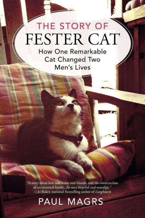Book cover of The Story of Fester Cat