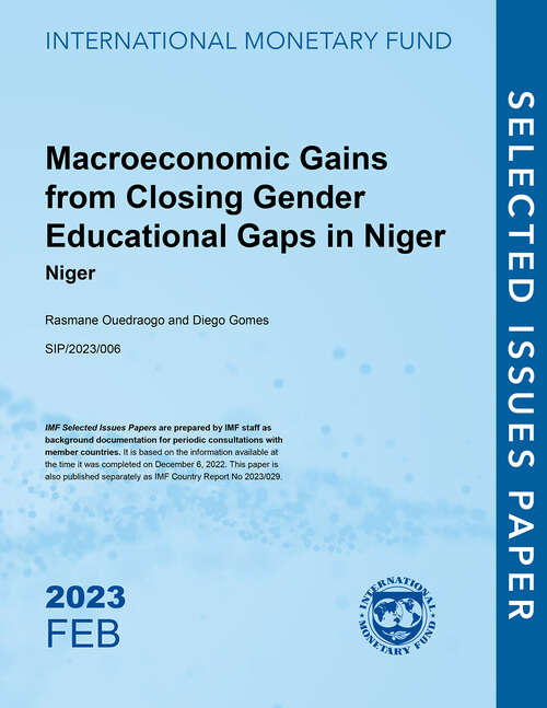 Book cover of Macroeconomic Gains from Closing Gender Educational Gaps in Niger: Niger
