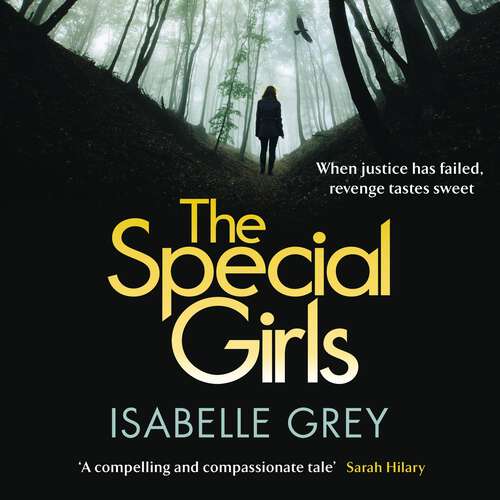 Book cover of The Special Girls: an addictive and heart-stopping crime thriller with a shocking twist (DI Grace Fisher)