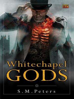 Book cover of Whitechapel Gods