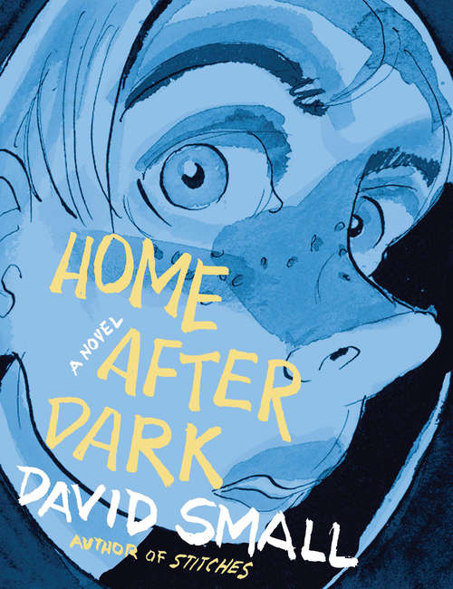 Book cover of Home After Dark: A Novel