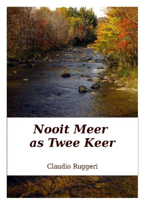 Book cover of Nooit Meer as Twee Keer
