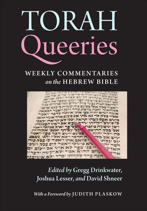 Book cover of Torah Queeries