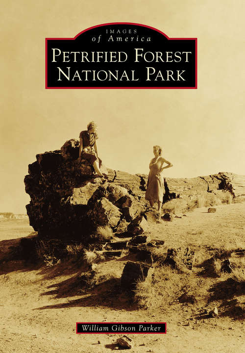 Book cover of Petrified Forest National Park (Images of America)