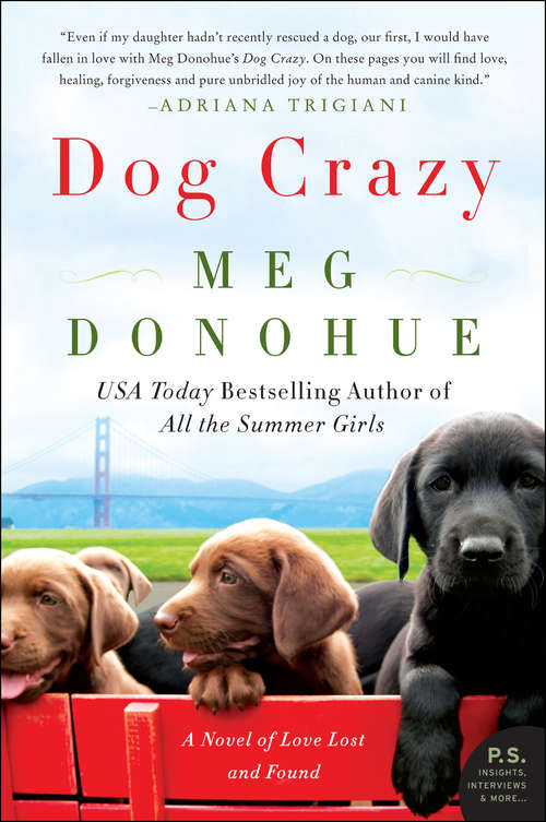 Book cover of Dog Crazy: A Novel of Love Lost and Found