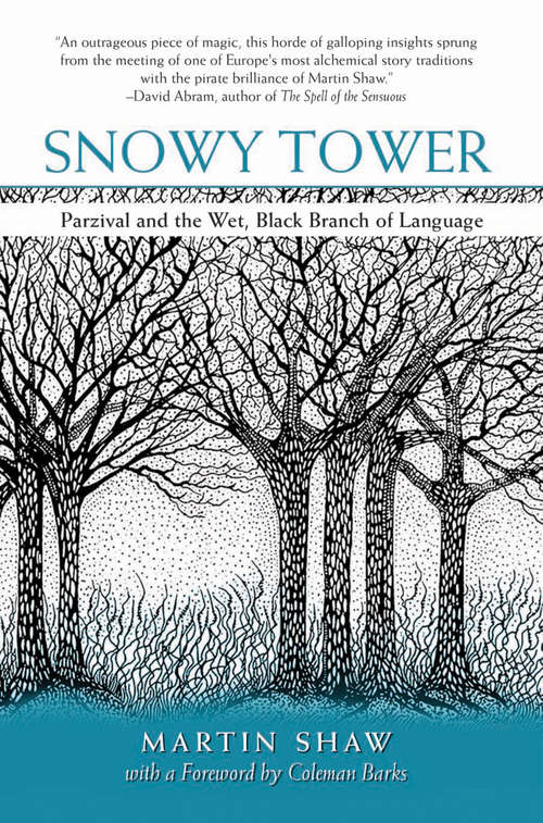 Book cover of Snowy Tower