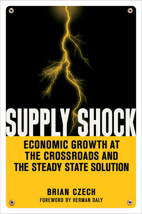 Book cover of Supply Shock: Economic Growth at the Crossroads and the Steady State Solution